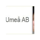 Företag 1 bild ALLHJÄLPEN I UMEÅ AB Städservice, rengöring i Umeå AC