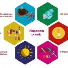 Företag 1 bild BEAUTYKA - SKÖNHETSSALONG STOCKHOLM i Stockholm AB