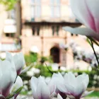 Företag 2 bild GRAND HOTEL Reser & Tourism i Lund M
