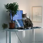 Företag 2 bild PERZONSEO WEBBYRÅ i Bromma AB