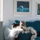 Företag 7 bild PERZONSEO WEBBYRÅ i Bromma AB