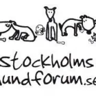 Företag 1 bild STOCKHOLMS HUNDFORUM Hunddagis i Stockholm