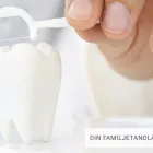 Företag 5 bild TANDTEAMET HAMADEH - TANDLÄKARE HALMSTAD Tandläkare i Halmstad N