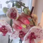 Företag 8 bild TIPS TO TOES - NAGELSALONG VÄSTERÅS i Västerås U