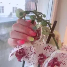 Företag 10 bild TIPS TO TOES - NAGELSALONG VÄSTERÅS i Västerås U