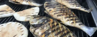 Företag 10 bild CHAMSIN GRILL - RESTAURANG LILJEHOLMEN Restauranger i Stockholm