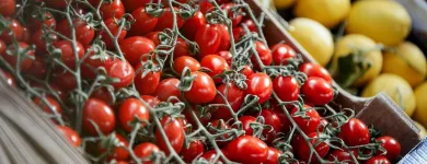 Företag 2 bild OLJA&OLIV DELI, KÖK & BAR Restauranger i Stockholm AB