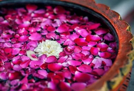 Företag 4 bild TONN KUN THAIMASSAGE BROMMA